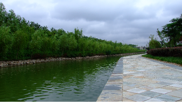 淺析雷達(dá)水位計(jì)測(cè)量河道的優(yōu)勢(shì)