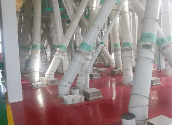 微信圖片_20230506115202