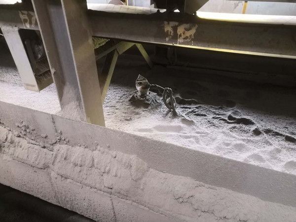 4bc56b047e99b5c2185d0a7c24c46d2_wps圖片_副本