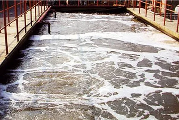 微信圖片_20221216165808