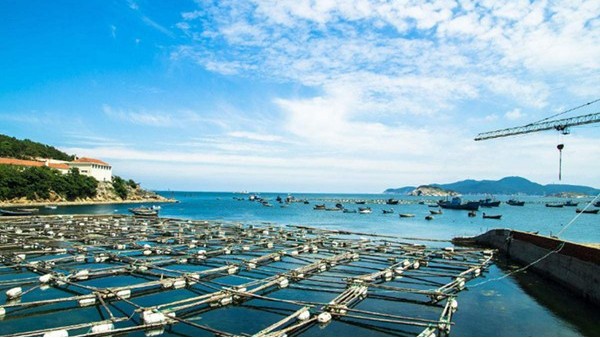 雷達物位計可否應用于水產(chǎn)養(yǎng)殖行業(yè)